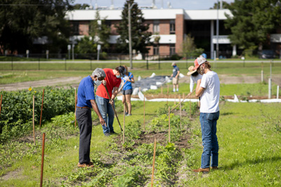 Bala Rathinasabapathi, Ph.D., (left, blue shirt), a professor with UF/IFAS, instructs horticultural sciences students at the teaching farm. — © 2020 UF/IFAS Communications, Photo by Tyler Jones