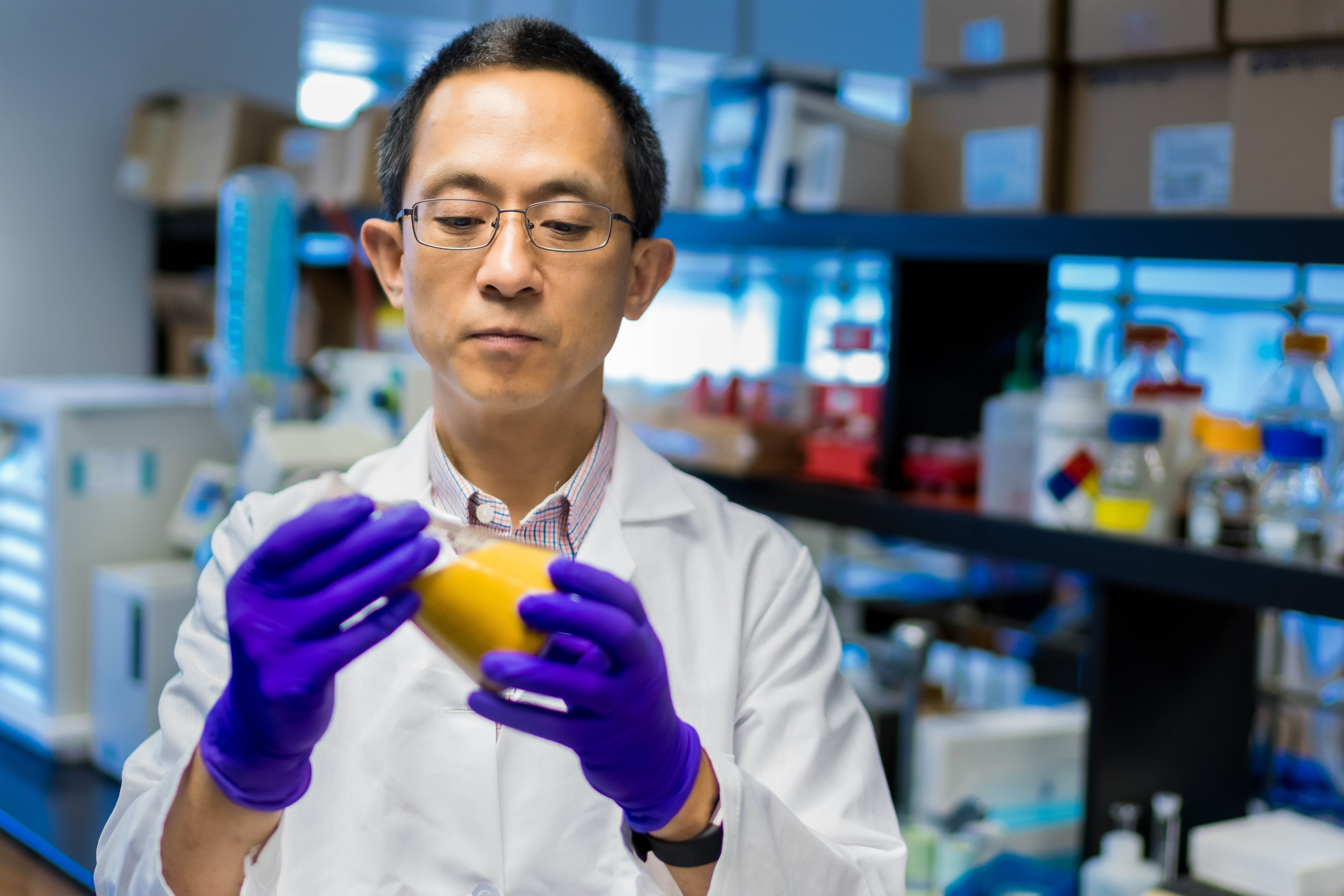 The May cover of Cancer Prevention Research featured a clinical study on kava led Chengguo “Chris” Xing, Ph.D., a professor of medicinal chemistry and the Frank A. Duckworth Eminent Scholar Chair in the UF College of Pharmacy.