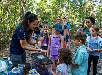 The Museum in the Parks program is an opportunity for the community to learn about Florida’s plants and animals by exploring on a special hike and personalized tour of the creatures that live in local parks, along with a look at Museum specimens to learn about collections and their importance.  In this photo Jennifer Standley, Graduate Student in UF Entomology and Nematology department supplied a petting zoo for the participants to learn about arthropods with a hands on experience at Bolen Bluff park. — © Florida Museum of Natural History, Photo by Jeff Gage