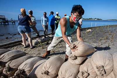 In the fall of 2020, students and Florida residents braved a raging pandemic and traveled from far and wide to Cedar Key, Florida in to give their time to help restore coastlines that had been eroded by years of storm surge. Masked and physically distanced, volunteers did their part to place natural reefs and plant coastal grasses that when mature, will reestablish vital ecosystems for coastal organisms, as well as create a buffer for tidal surges that currently threaten critical urban infrastructure.
